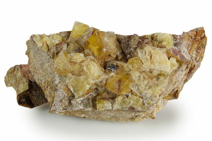 Yellow Cubic Fluorite Crystal Cluster on Matrix - Morocco #347788